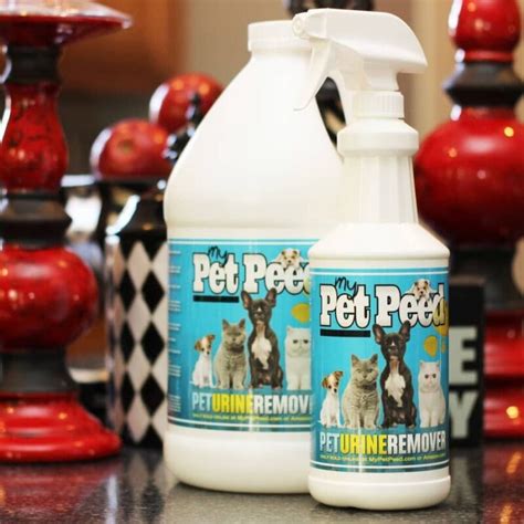 My pet peed - So, using a floor brush, gently scrub the dishwashing detergent, vinegar, and water solution into the stain. Rinse with clean water. Baking Soda and Rubbing Alcohol – If the previous step doesn’t remove the stain, make a paste of equal parts water and baking soda, and let it sit on the stain for 15–20 minutes.